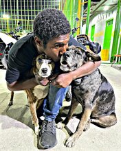 Viral Moment Homeless Man Celebrates Birthday With His Dogs In The Street