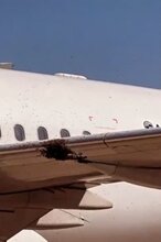  Flight Cancelled After Massive Bee Swarm Invades Plane