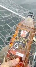   Fishermen Net 160 Bottles Of Whisky